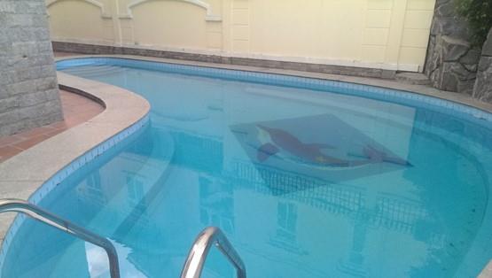 villa for rent in thao dien district 2 hcmc D2200082 (18)